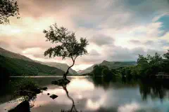 Balance and harmony